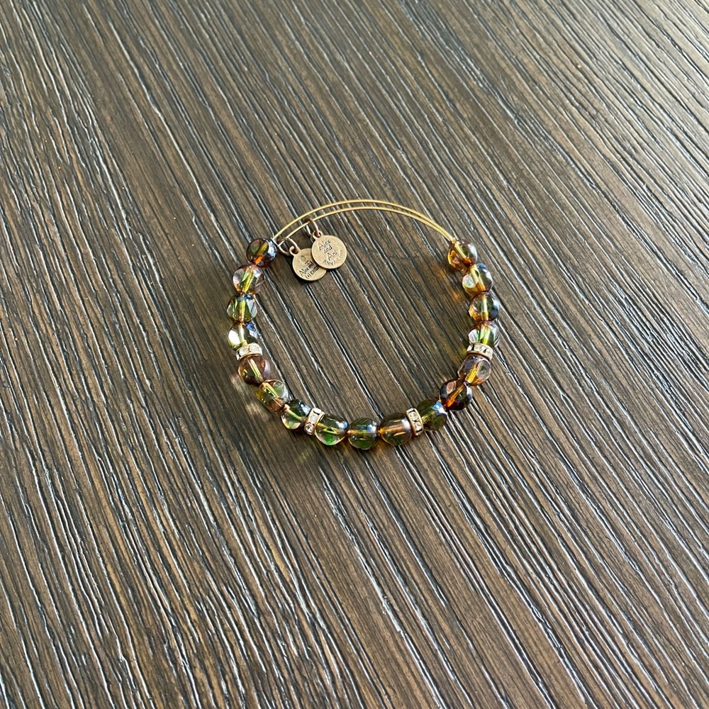 Alex and Ani Gold and Brown Bracelet